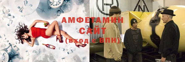 метадон Богданович