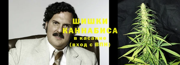 метадон Богданович