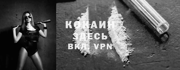 метадон Богданович