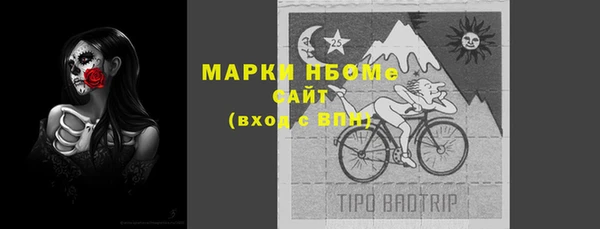 метадон Богданович
