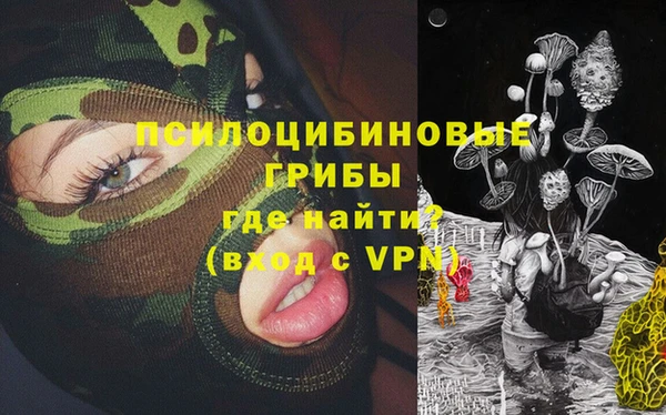метадон Богданович