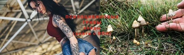 мескалин Богородицк