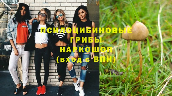 метадон Богданович