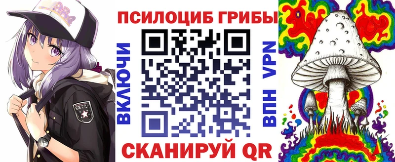 Псилоцибиновые грибы GOLDEN TEACHER  наркота  Уссурийск 